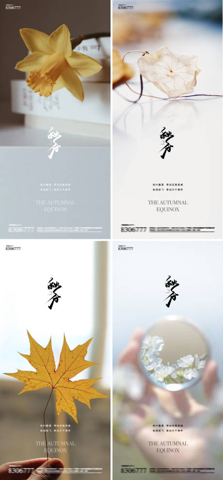 源文件下载【秋分24节气花卉梧桐叶海报】编号：68000019195565041