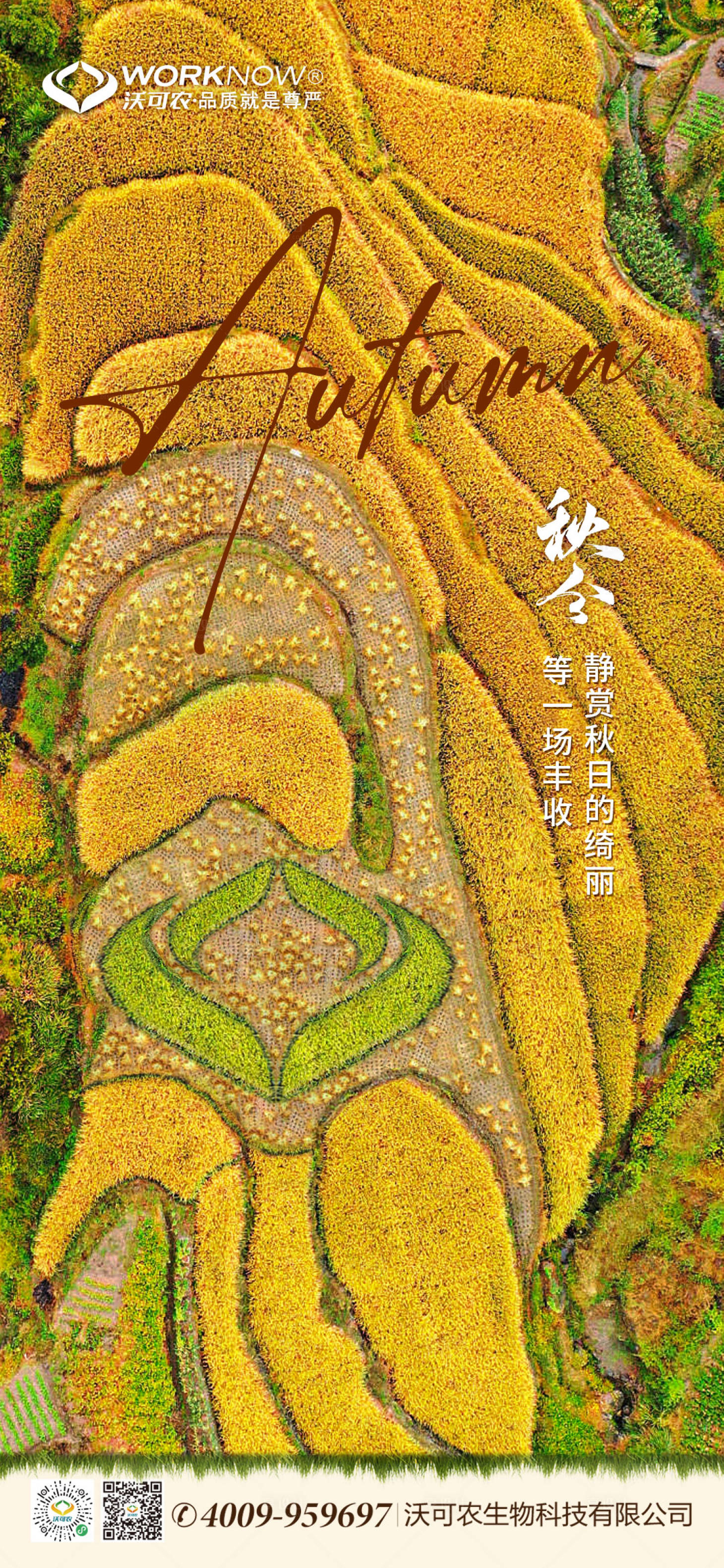 源文件下载【享设计】搜索编号：15660019420979360【秋分海报】