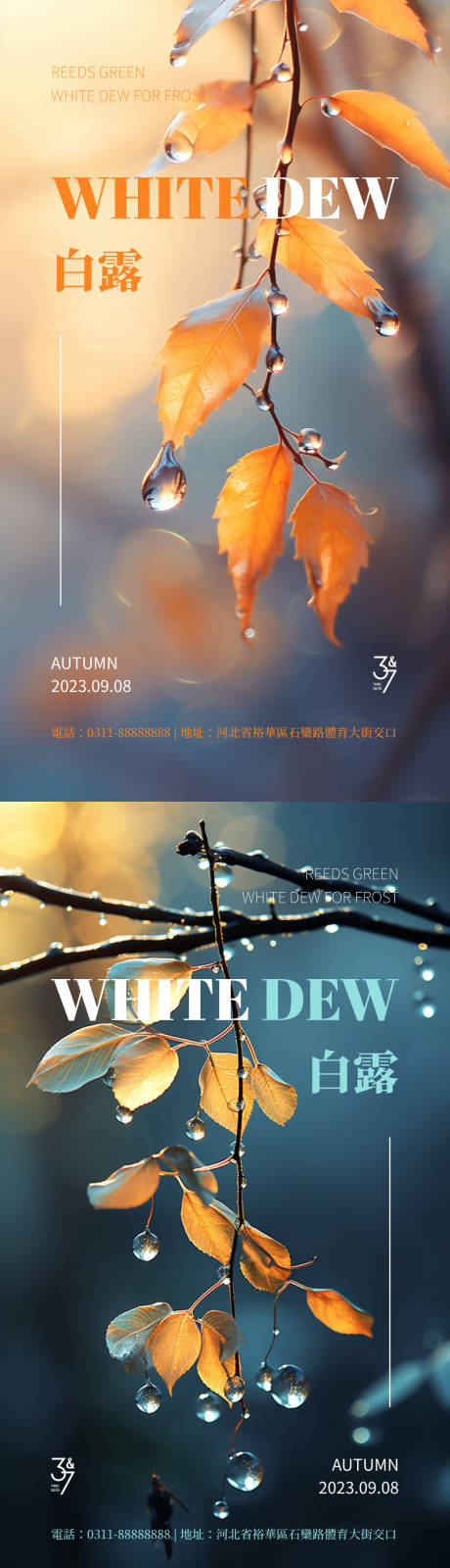 源文件下载【白露节气海报】编号：60790019210947807