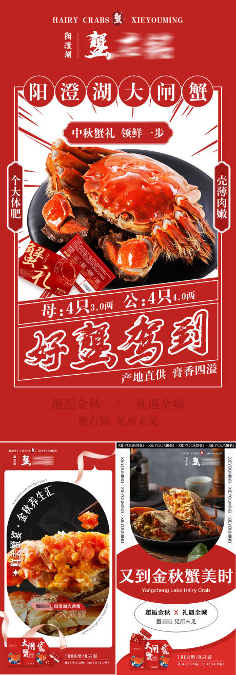 源文件下载【中秋大闸蟹礼品活动海报】编号：33130019229121217