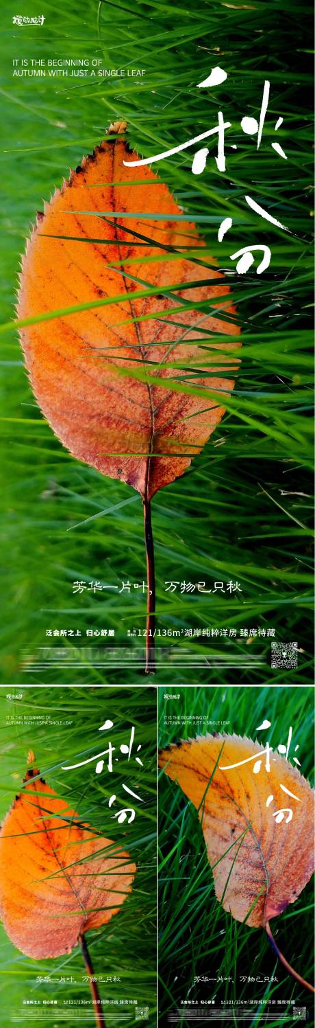 源文件下载【秋分节气系列海报】编号：81090019301619764