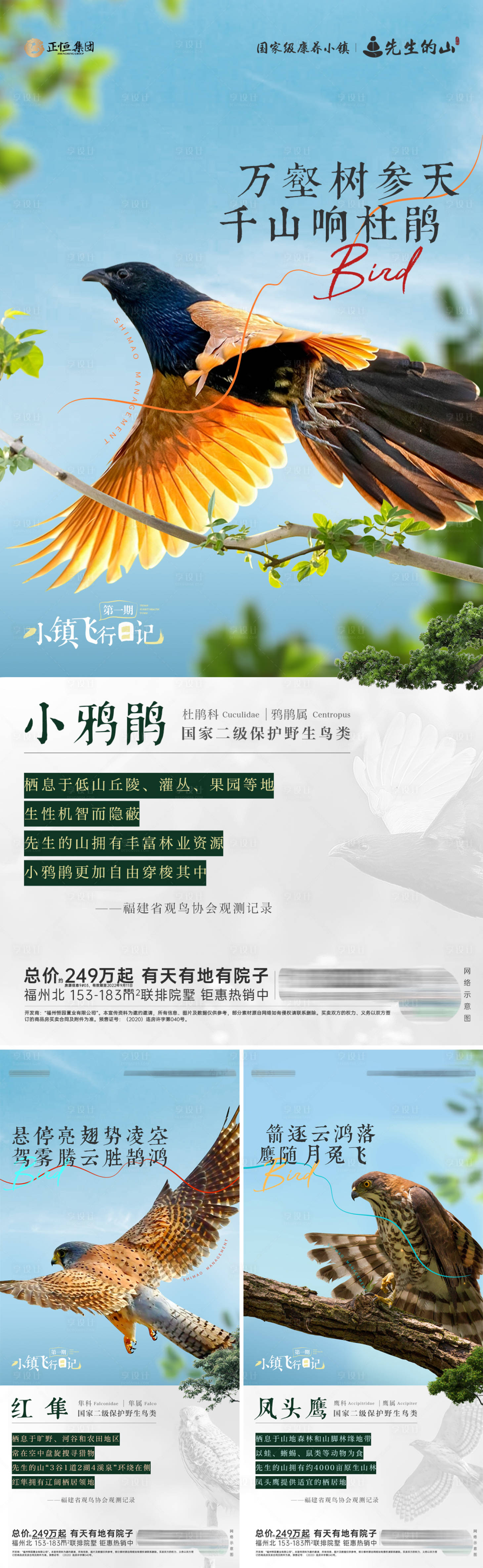 源文件下载【地产鸟类观测科普海报】编号：93030019277792388