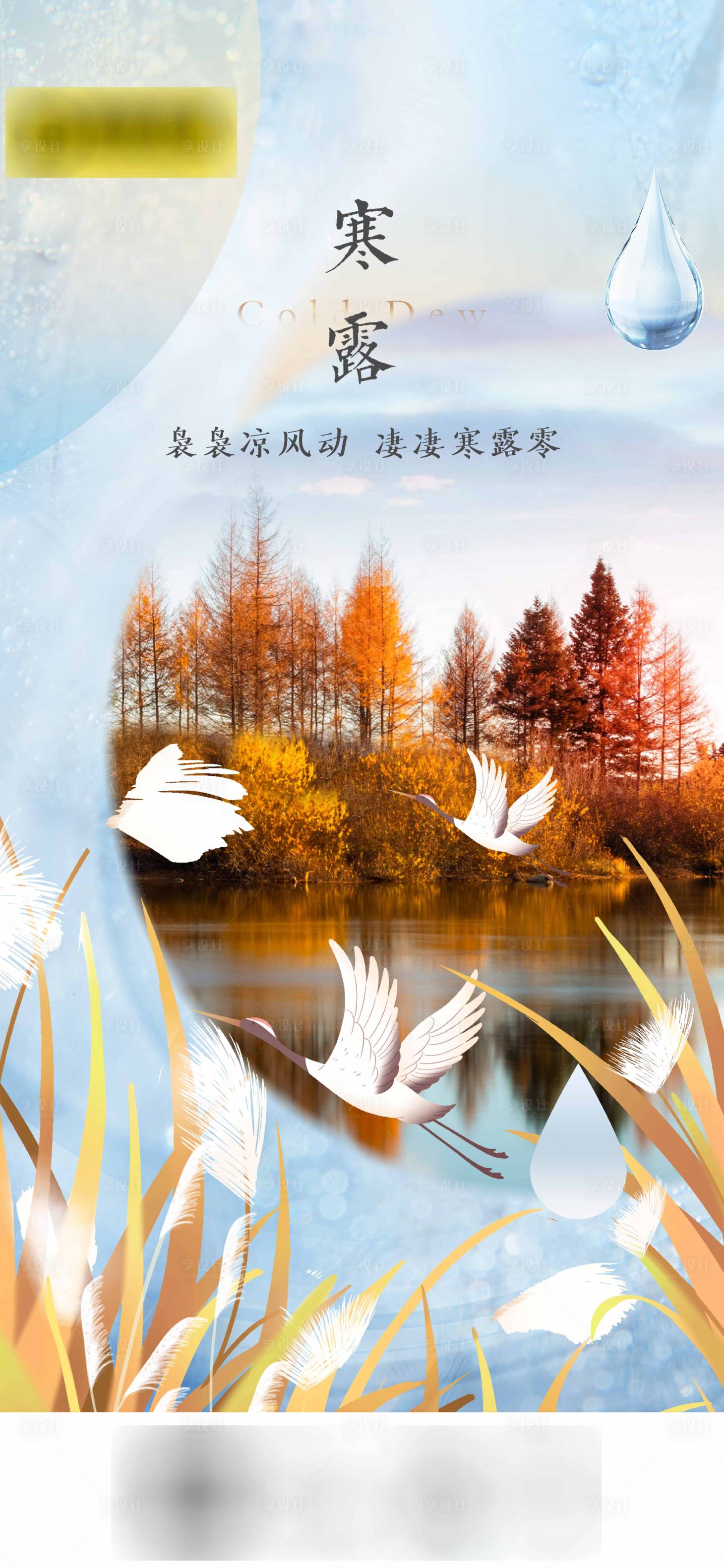 源文件下载【寒露海报】编号：77490019430346205
