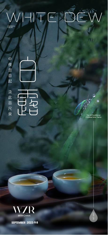源文件下载【白露节气海报】编号：52860019198702756