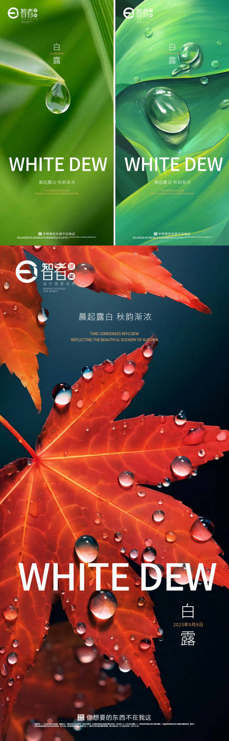 源文件下载【享设计】搜索编号：84610019251395288【白露海报】