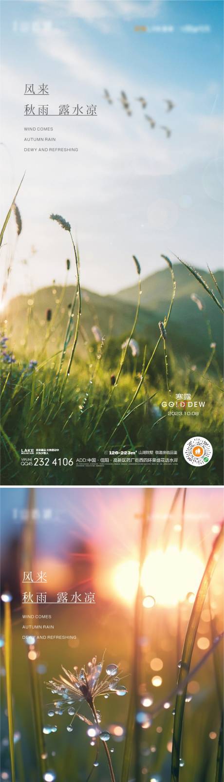 源文件下载【享设计】搜索编号：43840019495455806【寒露海报】