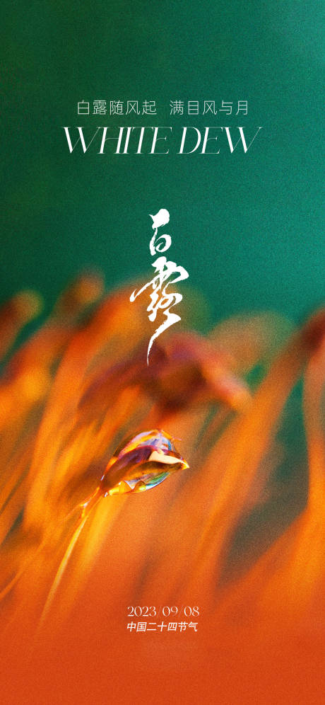 源文件下载【白露节气刷屏稿】编号：20540019094891780