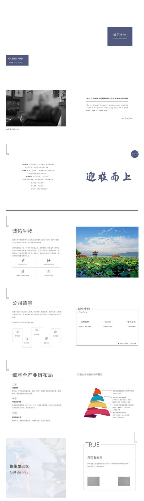 源文件下载【简约大气 】编号：96900019316677882