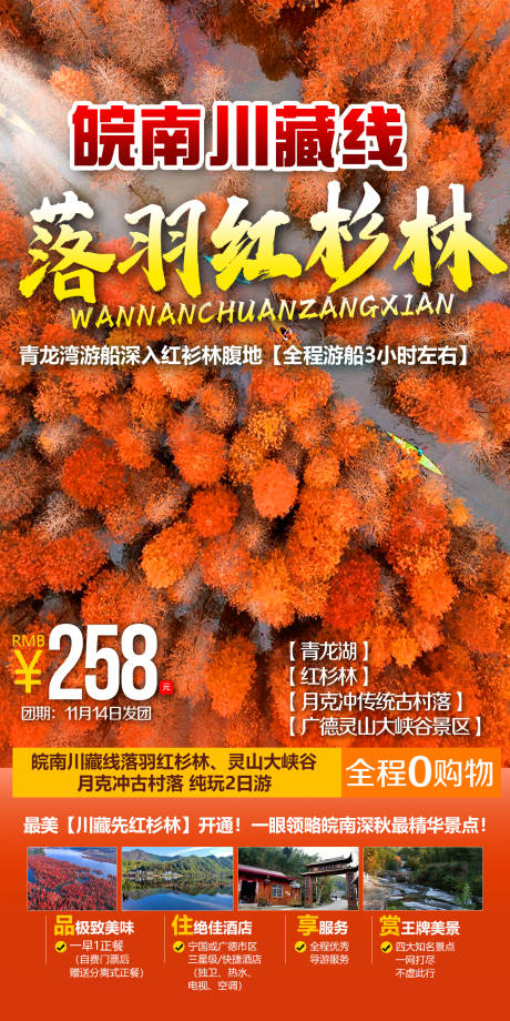 源文件下载【皖南川藏线落羽红杉林旅游海报 】编号：20230926104655467