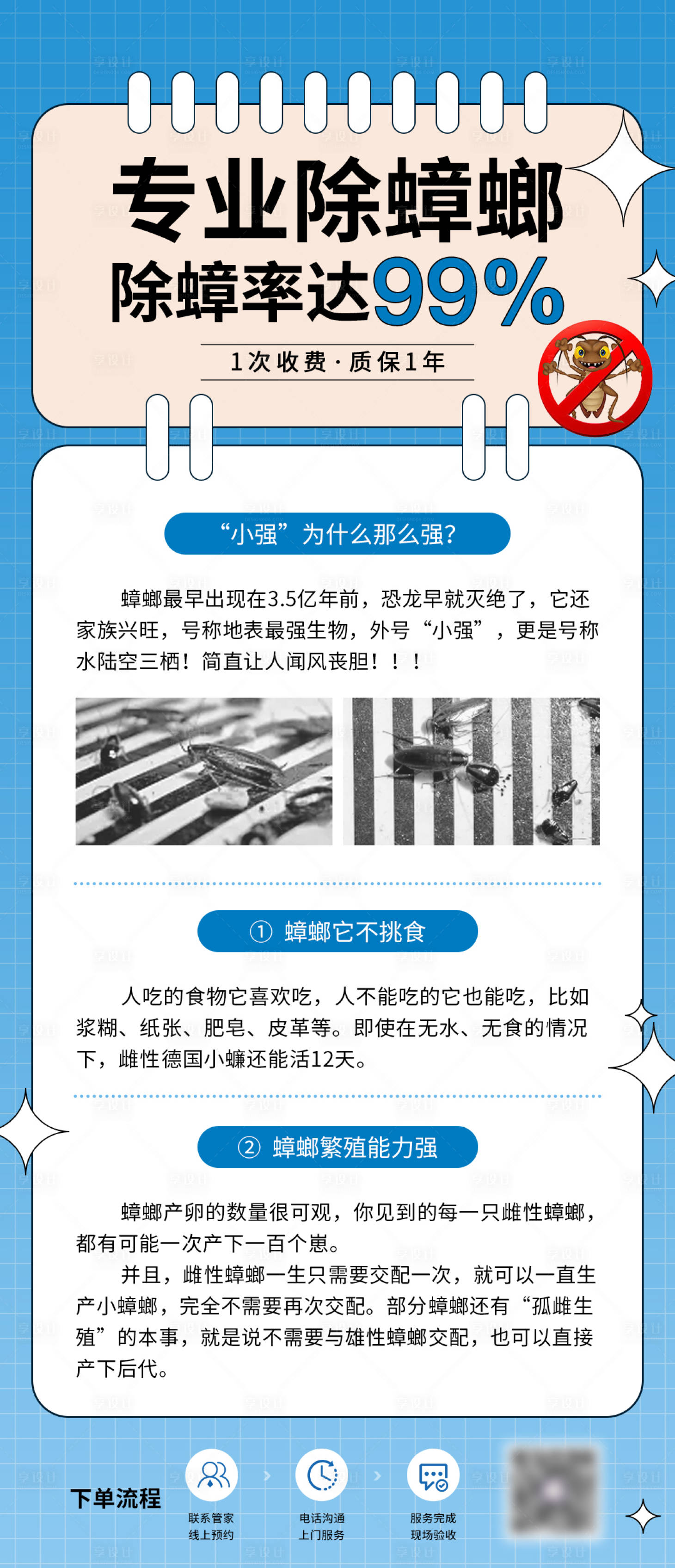 源文件下载【除蟑海报】编号：48740019321674007