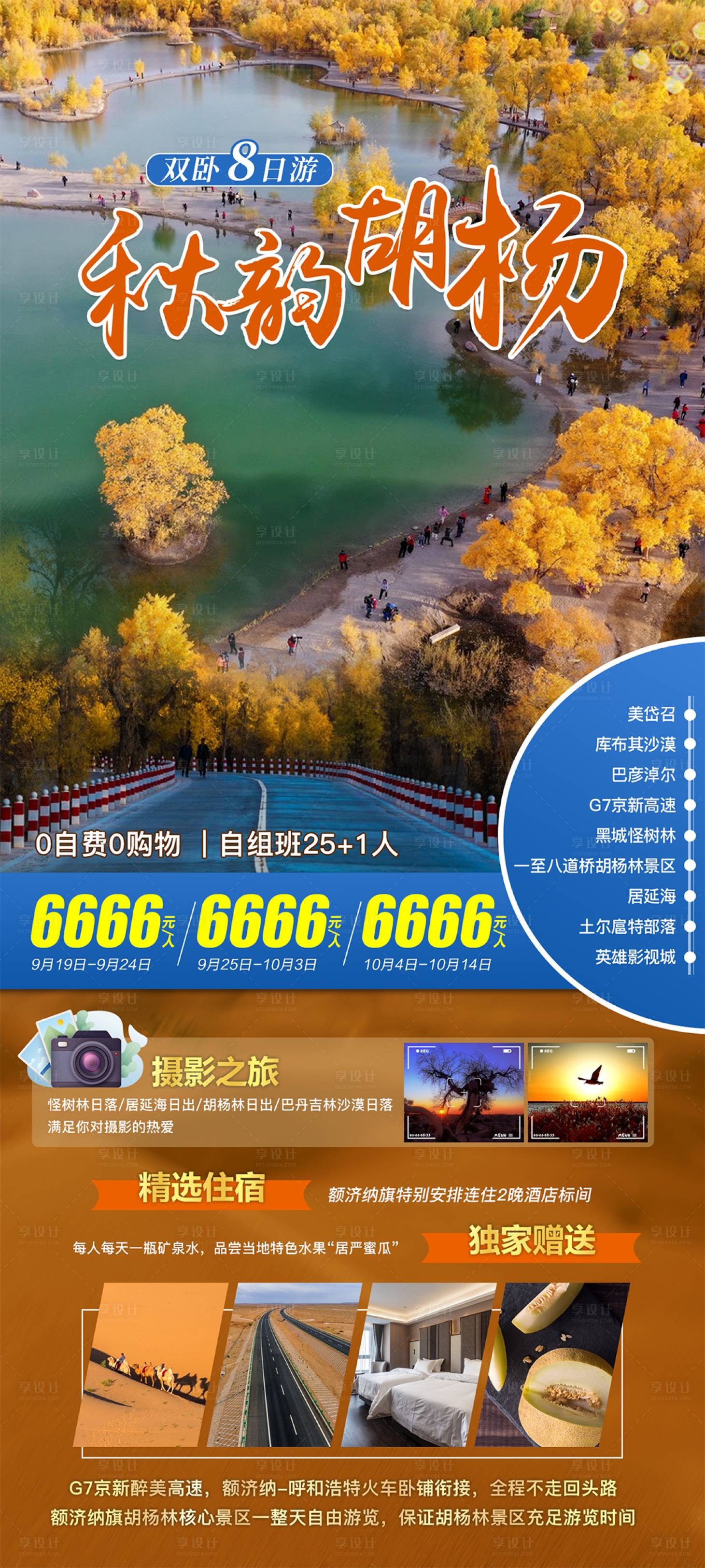 源文件下载【秋韵胡杨旅游海报】编号：63380019579208487
