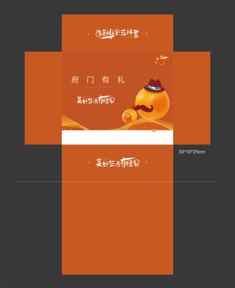编号：20230920112642713【享设计】源文件下载-橘子水果包装设计