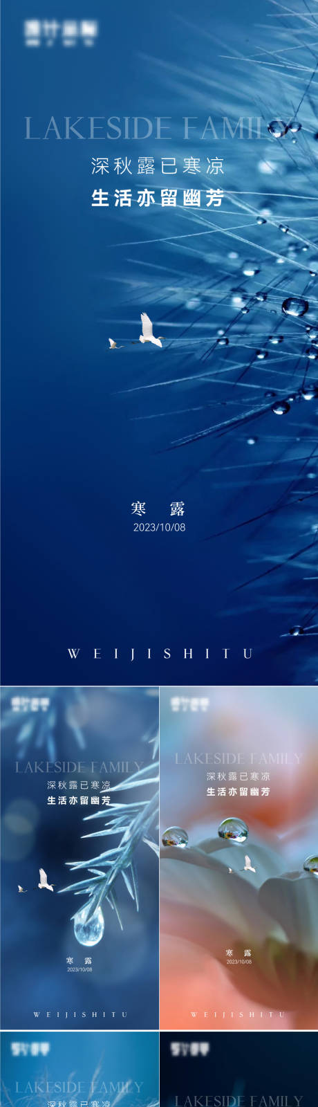 源文件下载【享设计】搜索编号：37900019535027909【寒露】
