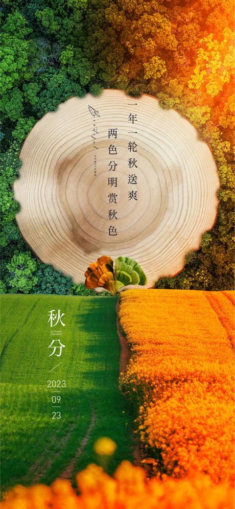 源文件下载【秋分海报】编号：31100019251117538