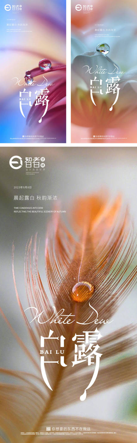 源文件下载【白露海报】编号：40250019251415566
