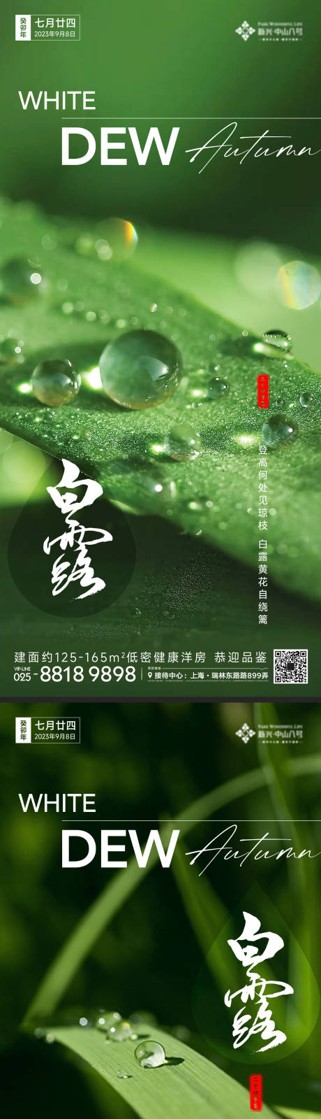 源文件下载【白露节气系列海报】编号：47300019084189217