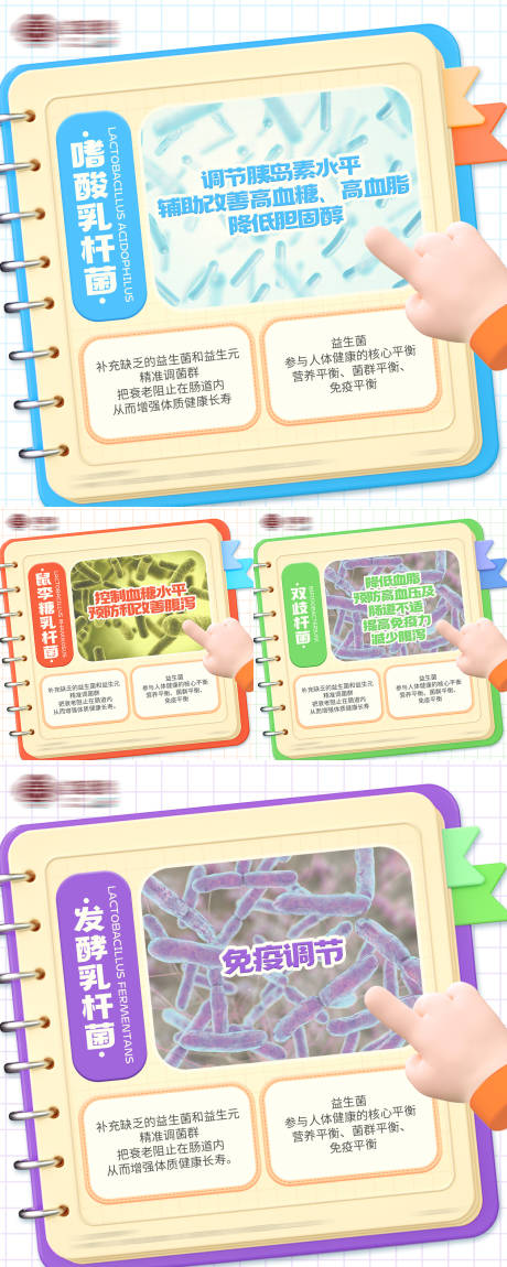 源文件下载【享设计】搜索编号：73290019398986859【正方形益生菌有益菌种类科普海报】
