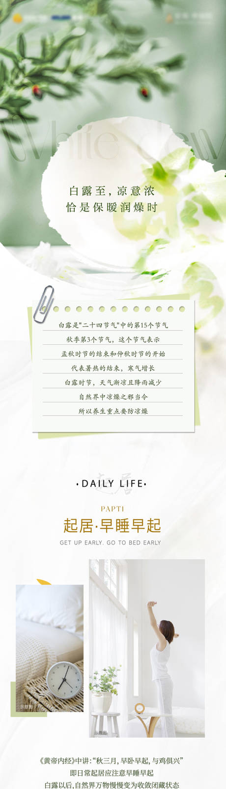 源文件下载【白露养生长图】编号：62690019576523216