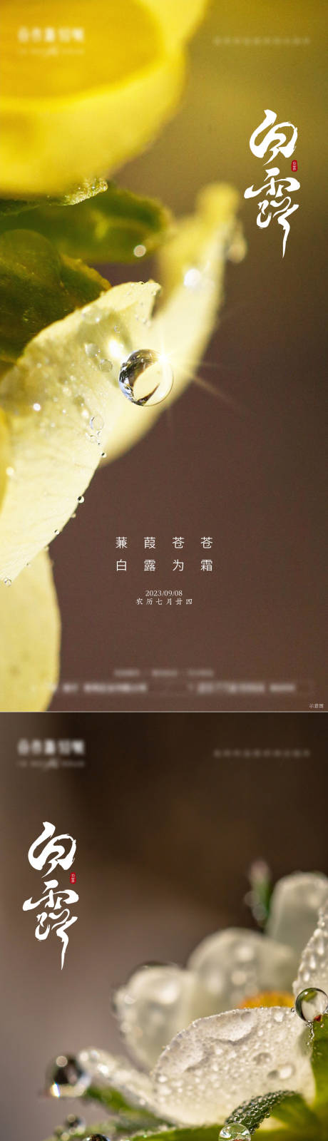 源文件下載【享設計】搜索編號：43840019175952493【白露節氣海報】