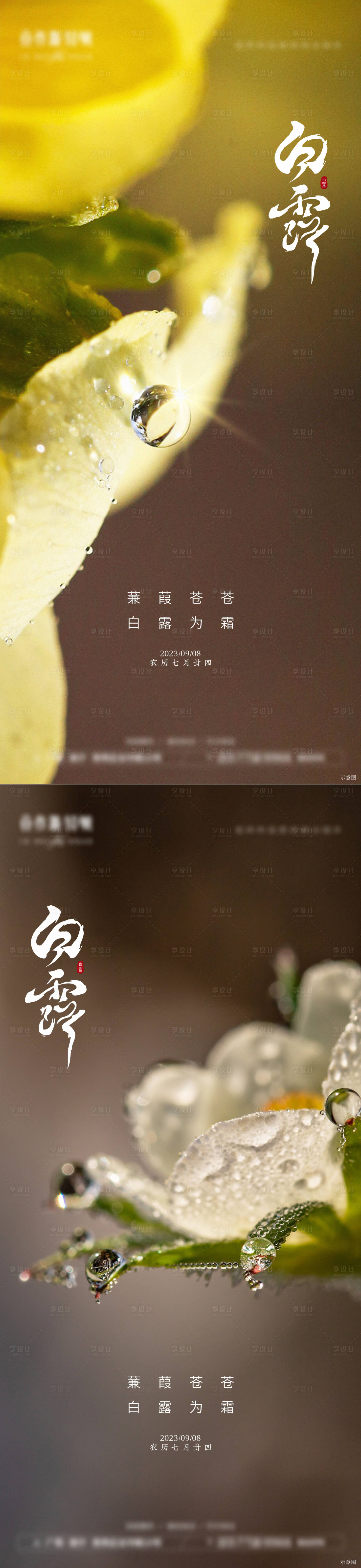 源文件下載【享設(shè)計(jì)】搜索編號(hào)：43840019175952493【白露節(jié)氣海報(bào)】