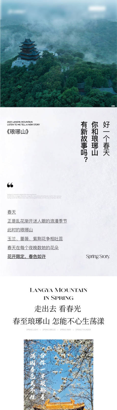 源文件下载【价值点长图】编号：88320019196738290