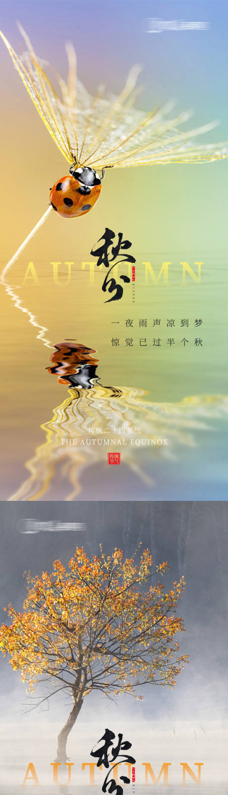 源文件下载【秋分节气海报】编号：48930019455284252
