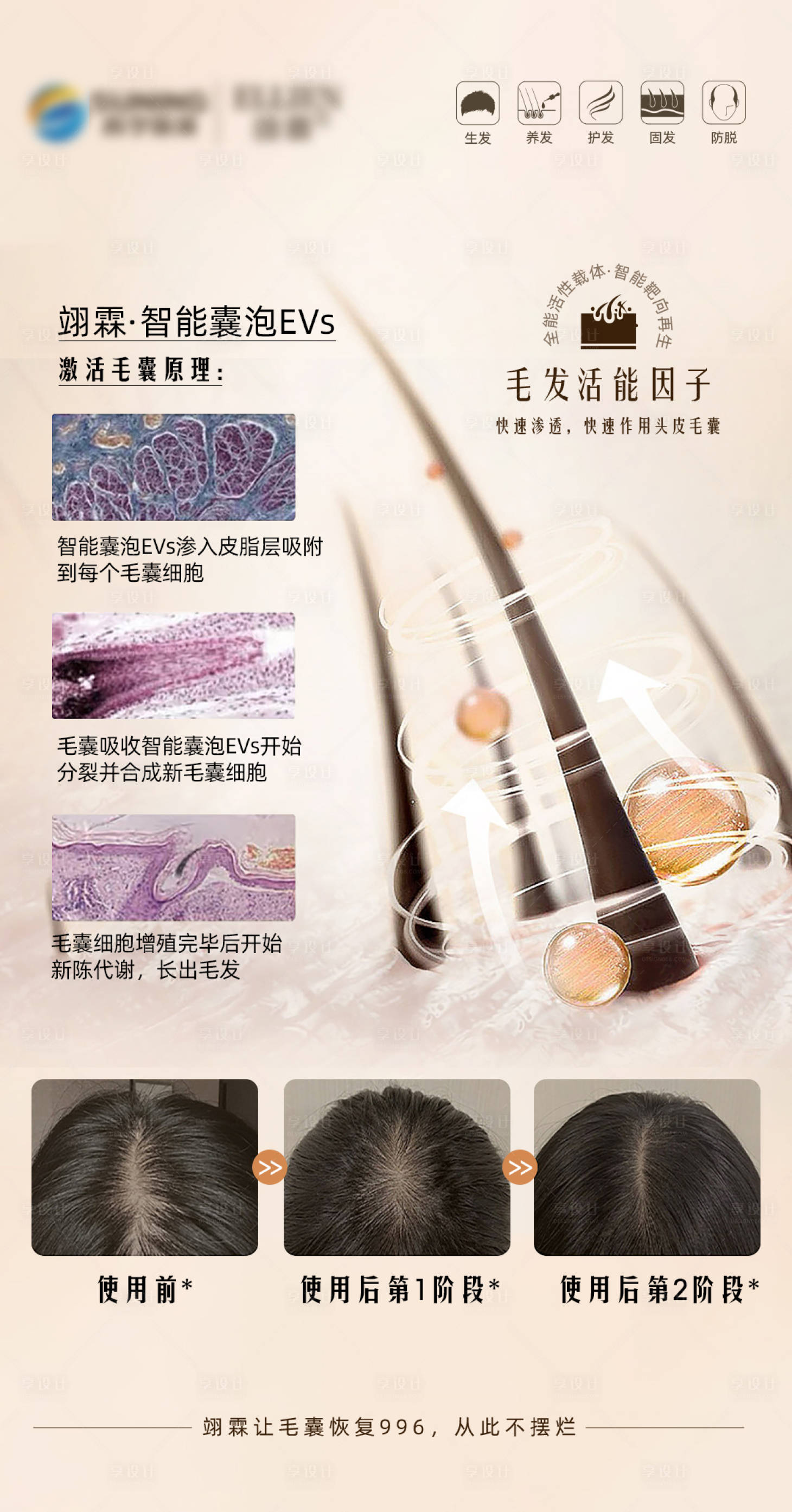 源文件下载【外泌体生发海报】编号：16940019140655133