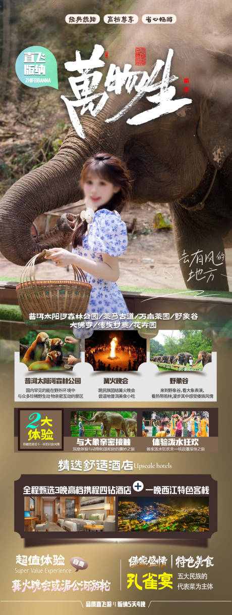 源文件下载【版纳宣传海报】编号：78660019176032356