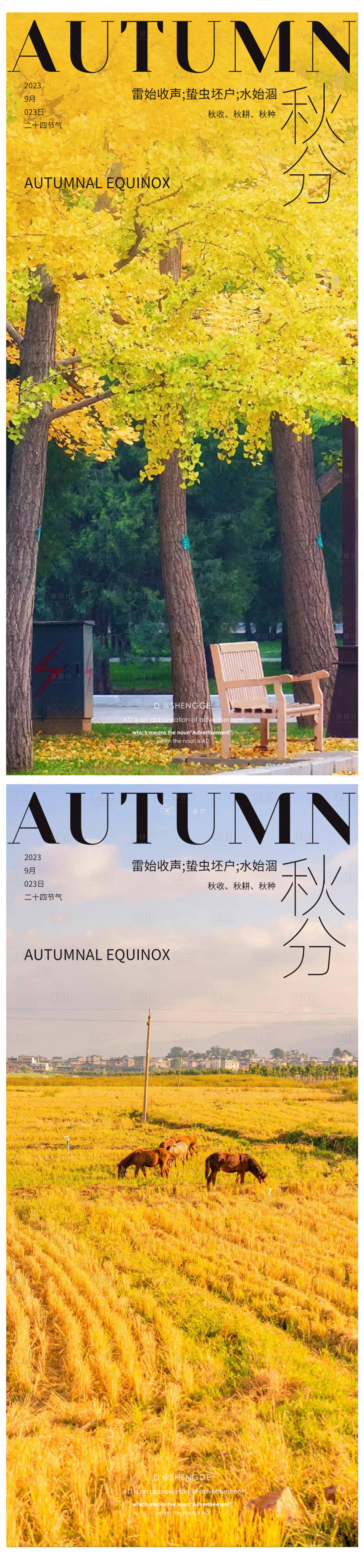 源文件下載【享設(shè)計(jì)】搜索編號：62000019382048431【秋分節(jié)氣海報(bào)】