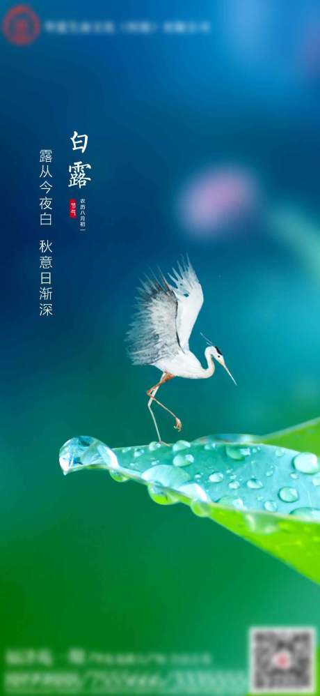 源文件下载【白露海报】编号：49110019181267275