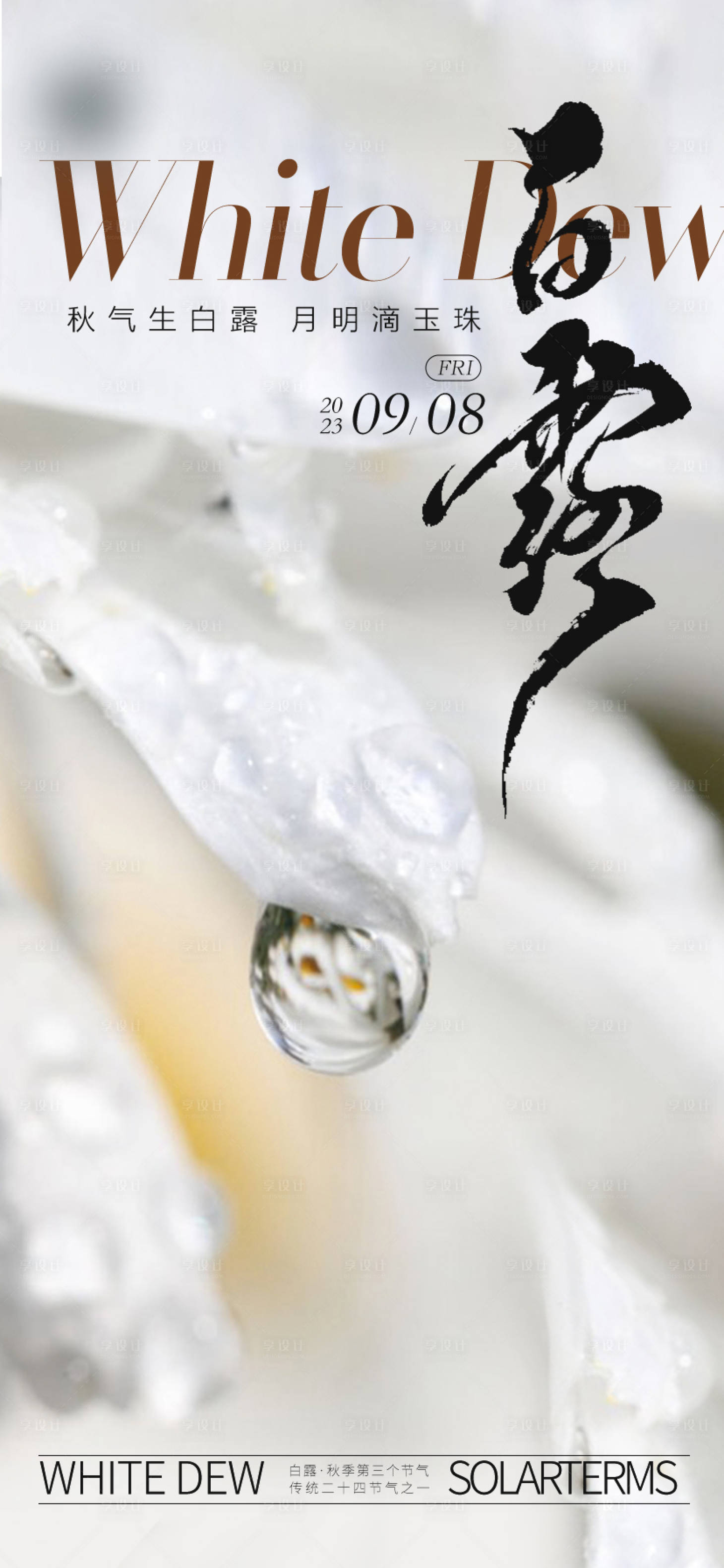 源文件下载【享设计】搜索编号：21290019210288662【白露节气海报】