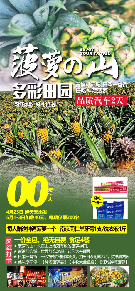 源文件下载【享设计】搜索编号：36250019170186315【菠萝山旅游海报】