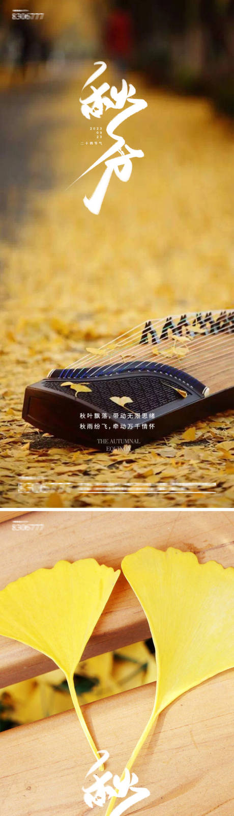 源文件下載【享設計】搜索編號：11800019195542384【秋分海報】