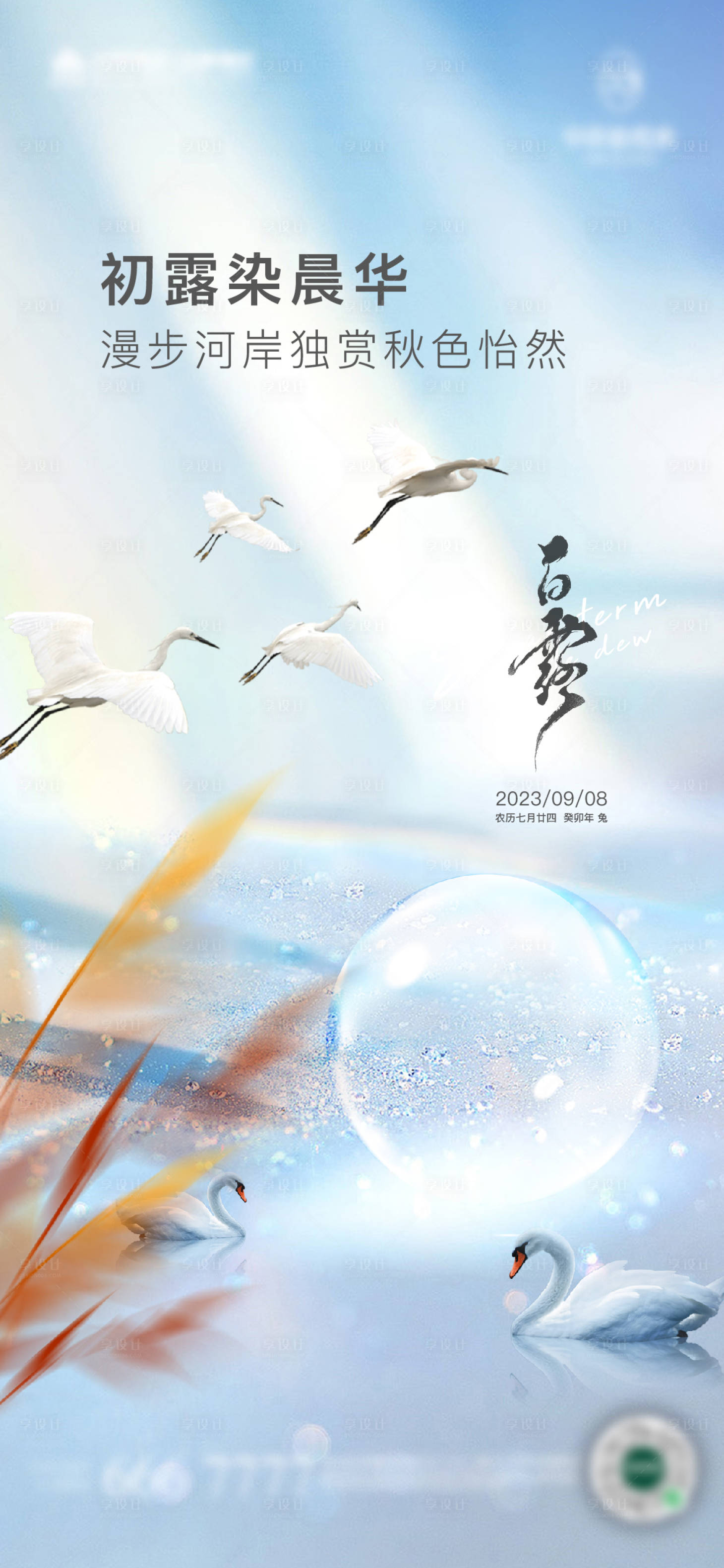 源文件下载【享设计】搜索编号：74190019157955405【地产白露海报】