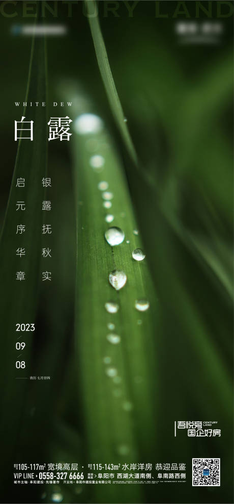 源文件下载【享设计】搜索编号：77230019178133582【地产白露节气】