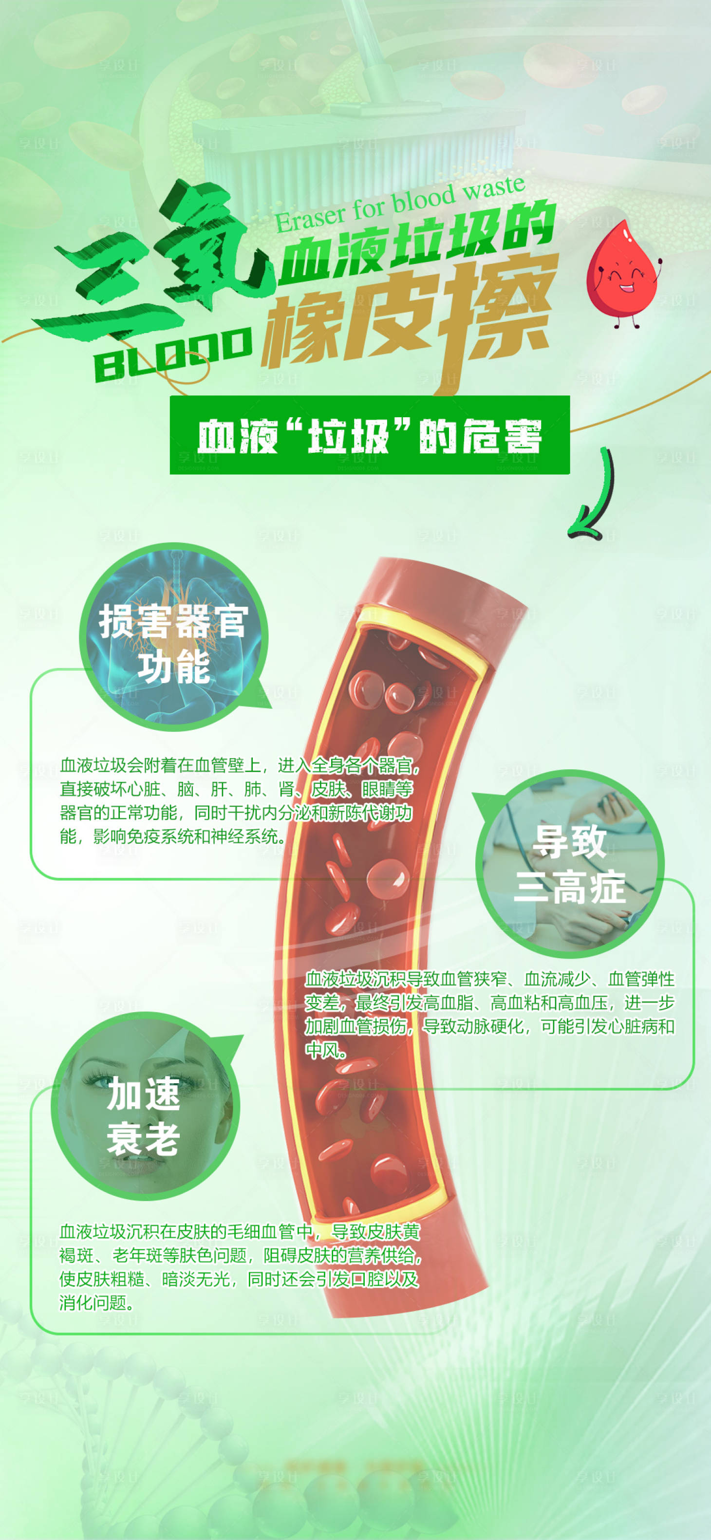 源文件下载【血管科普海报】编号：75260019211785838
