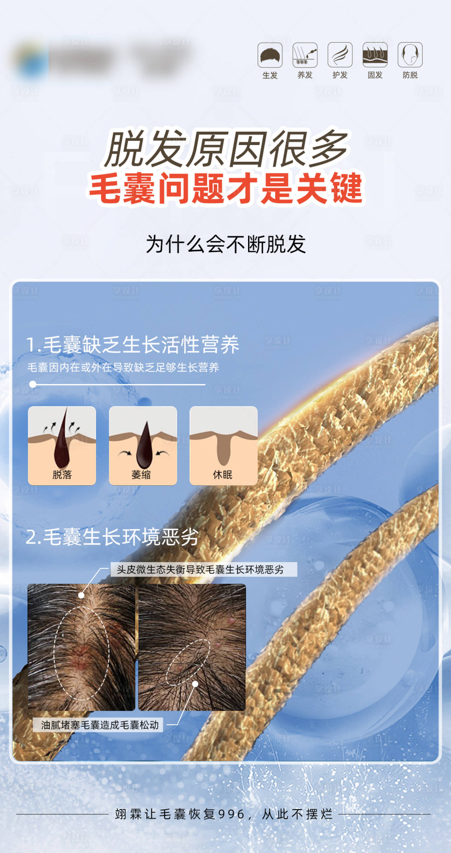 源文件下载【享设计】搜索编号：33470019534519269【毛发翊霖产品外泌体海报】