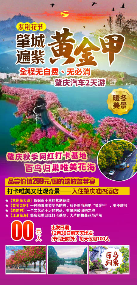 源文件下载【花肇庆海报】编号：18960019169907456