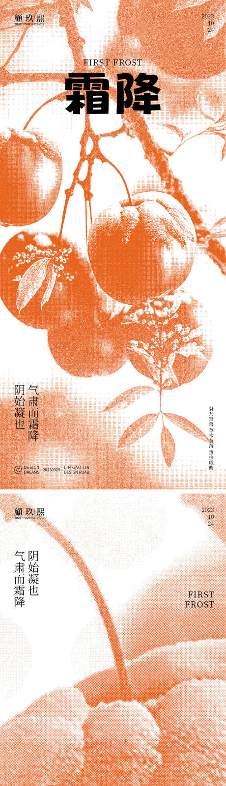 源文件下載【霜降冬柿系列海報】編號：84030019597467804