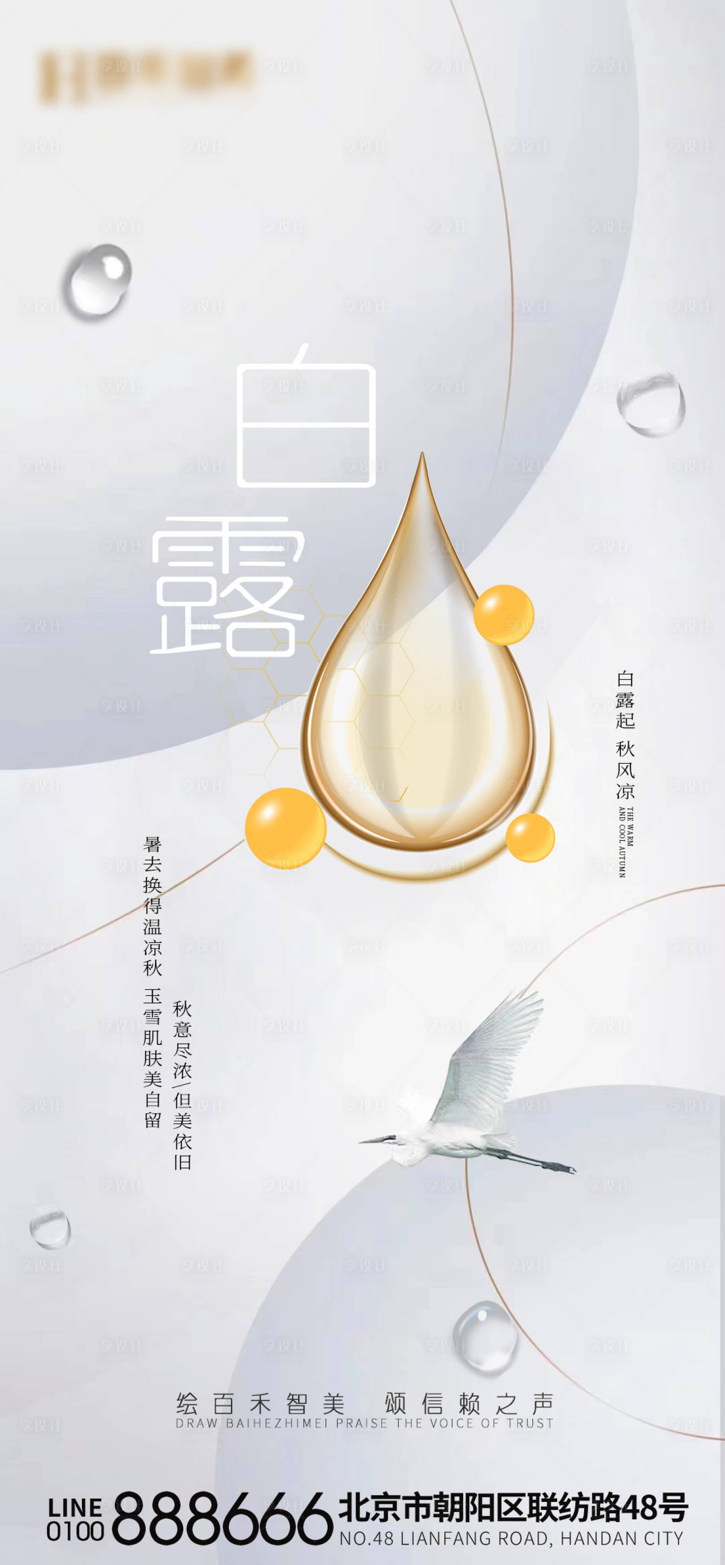 源文件下载【白露海报】编号：97770019211306255