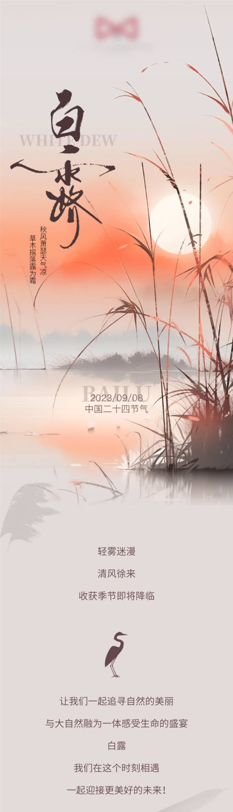 源文件下载【白露海报 】编号：21660019277876503