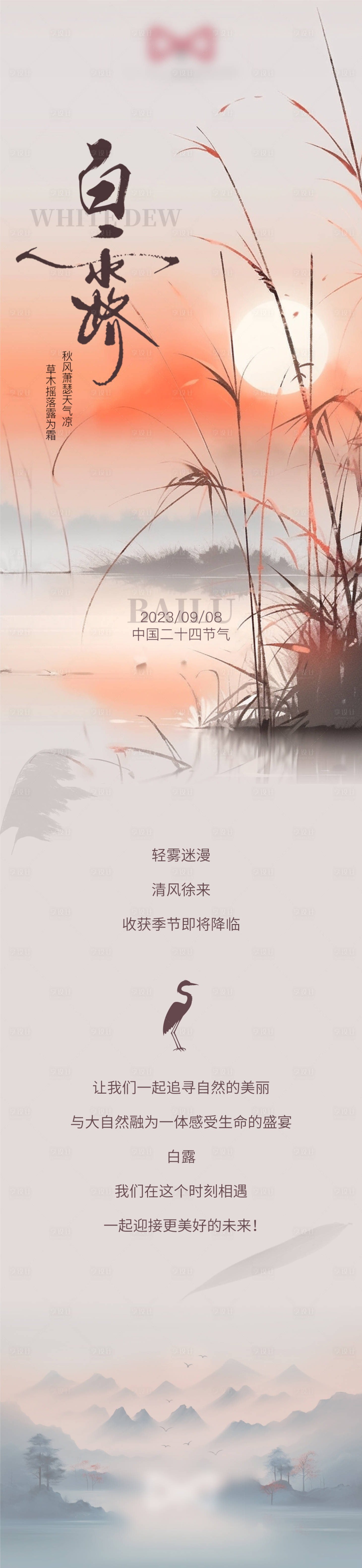 源文件下载【白露海报 】编号：21660019277876503