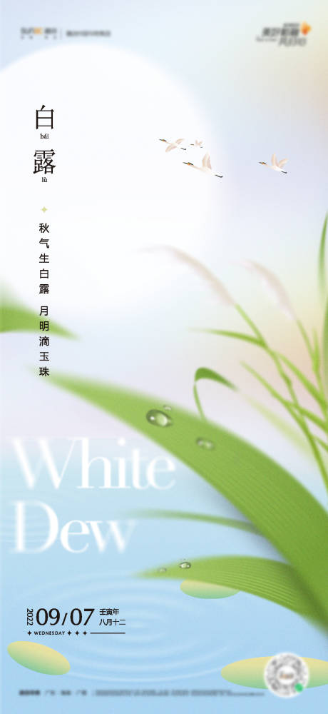 源文件下载【白露海报】编号：40350019251285279
