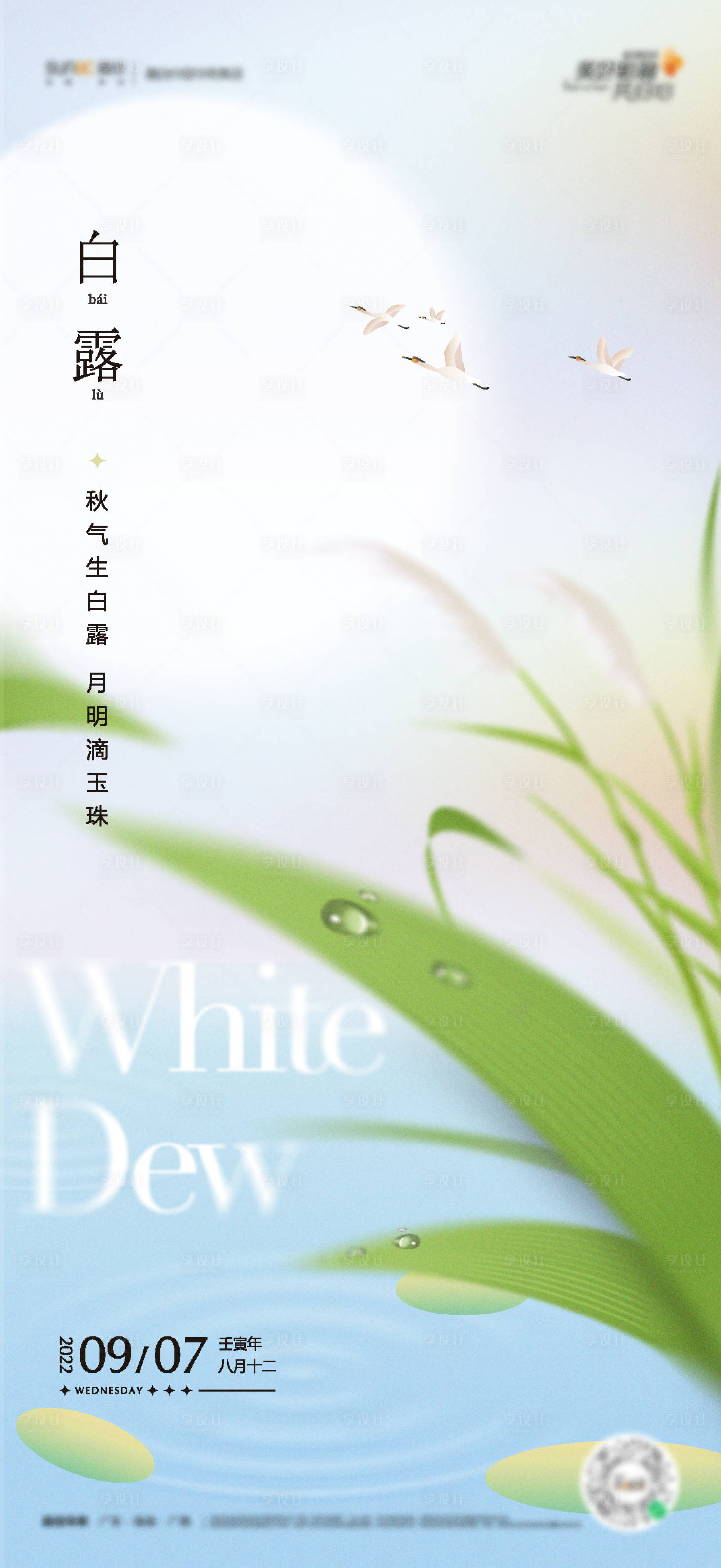 源文件下載【享設(shè)計(jì)】搜索編號(hào)：40350019251285279【白露海報(bào)】