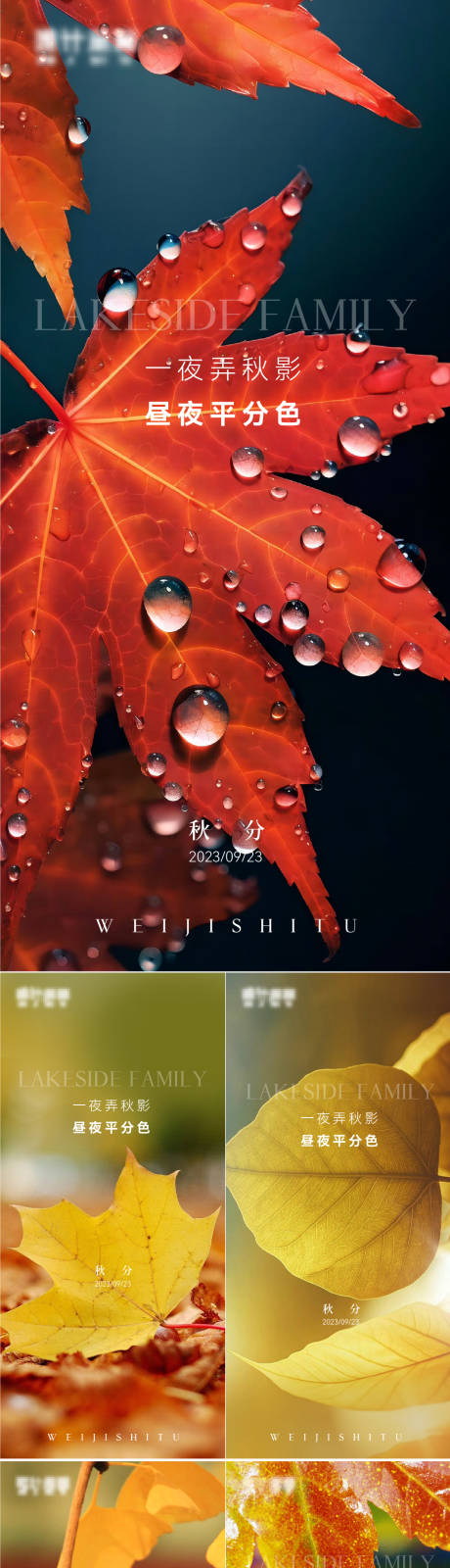 源文件下载【秋分海报】编号：55330019371854841