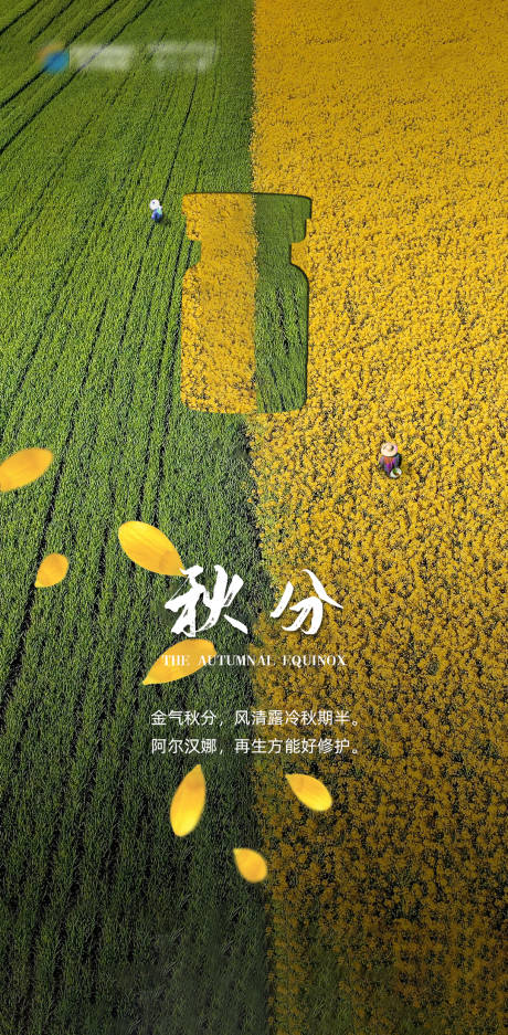 源文件下載【享設計】搜索編號：87590019420992560【秋分海報】