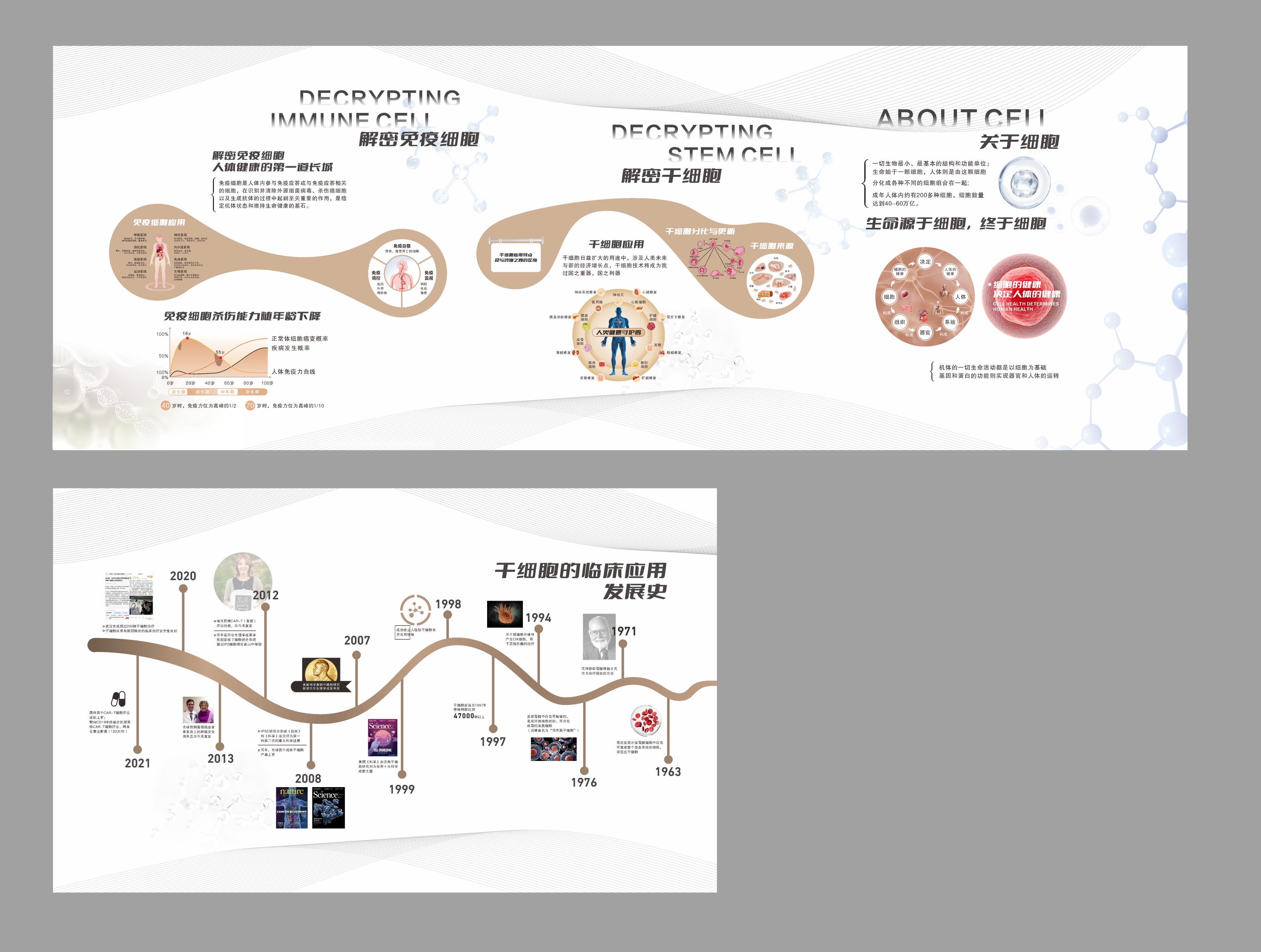 医疗医院干细胞展厅文化墙