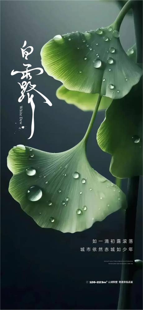 源文件下载【享设计】搜索编号：68520019535192125【白露节气海报】