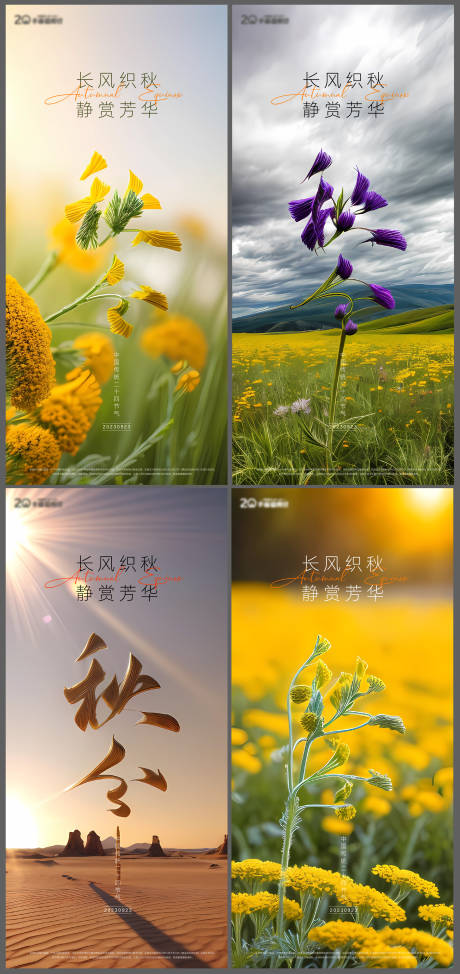 源文件下载【秋分节气系列海报】编号：54370019459695945