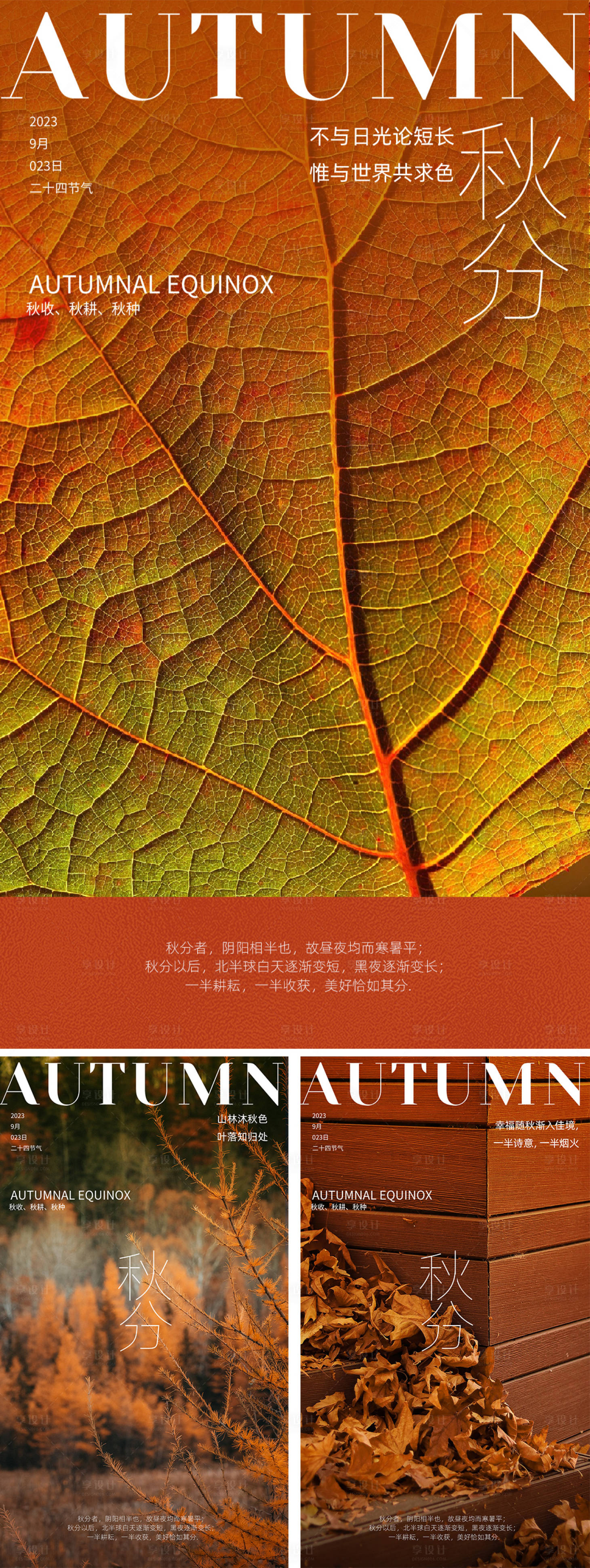 源文件下载【秋分海报】编号：46810018745848609